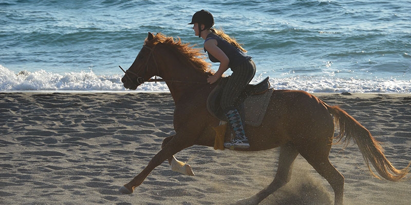 Ιππασία σε παραλίες και ελαιώνες της Κρήτης