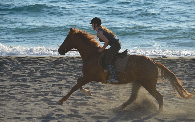 Ιππασία σε παραλίες και ελαιώνες της Κρήτης